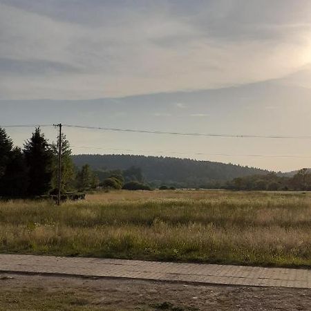 Domek 4 Osobowy Stara Bircza Εξωτερικό φωτογραφία